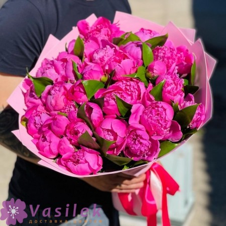 31 розовый пион